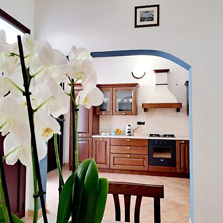 Anninnia Guest House B&B - Ghiiarza Ghilarza エクステリア 写真